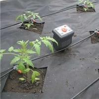 Hur man gör droppbevattning för tomater i ett växthus med egna händer